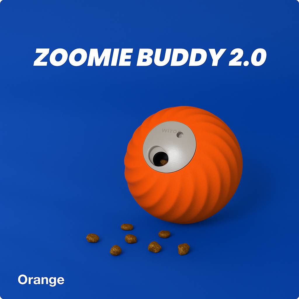 Zoomie Buddy 2.0