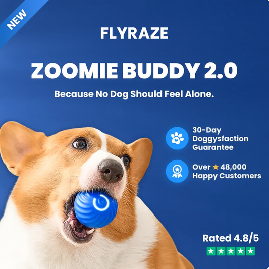 Zoomie Buddy 2.0
